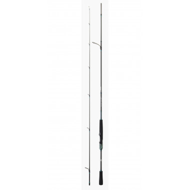 Modelo Caña Daiwa Saltist AGS Rock Fishing