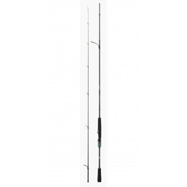 Daiwa Saltist AGS Rock Fishing Rod Model