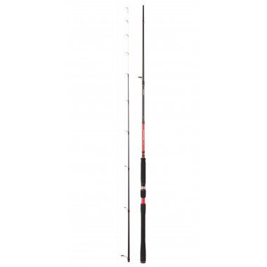 Modelo Caña Daiwa Powermesh Tenya