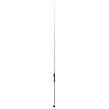 Modelo Cana Daiwa Saltiga Slow Jigging