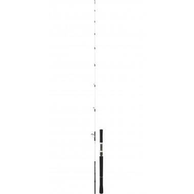 Modelo Cana Daiwa Saltist Off Shore