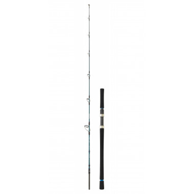 Modelo Cana Daiwa Granwave Jigging