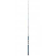 Caña Daiwa Legalis Oceano Jigging 581 HS