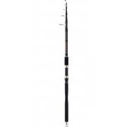 Caña Daiwa Megaforce Big Fish 295 T XH
