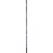 Rod Daiwa Luvias Barre 80 RB