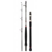 Caña Daiwa Saltist Travel 553 HS