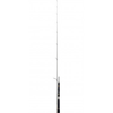 Modelo Cana Daiwa Morethan Branzino AGS