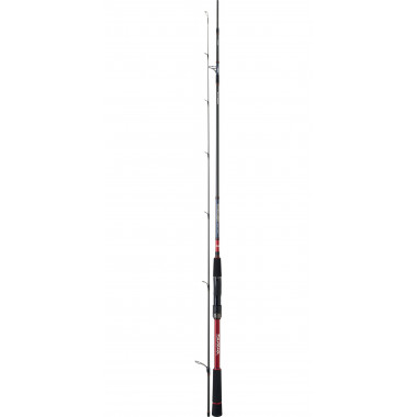 Modelo Caña Daiwa Tournament SW AGS