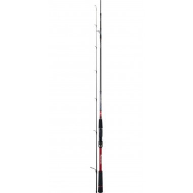 Modelo Cana Daiwa Tournament SW AGS