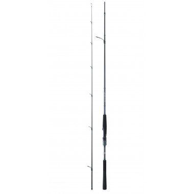 Modelo Cana Daiwa Saltist AGS II