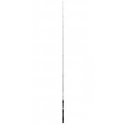 Caña Daiwa Crosscast Seabass 631 MHFS