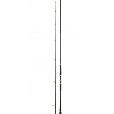 Modèle Canne Daiwa Legalis Shore Jig